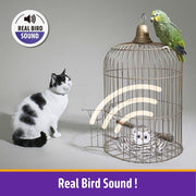 Interactive Cat Toy