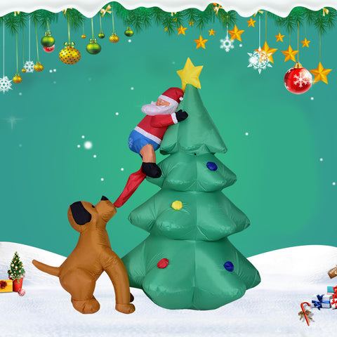 Premium Christmas Decorations | Elegant Holiday Ornaments & Festive Décor for Your Home