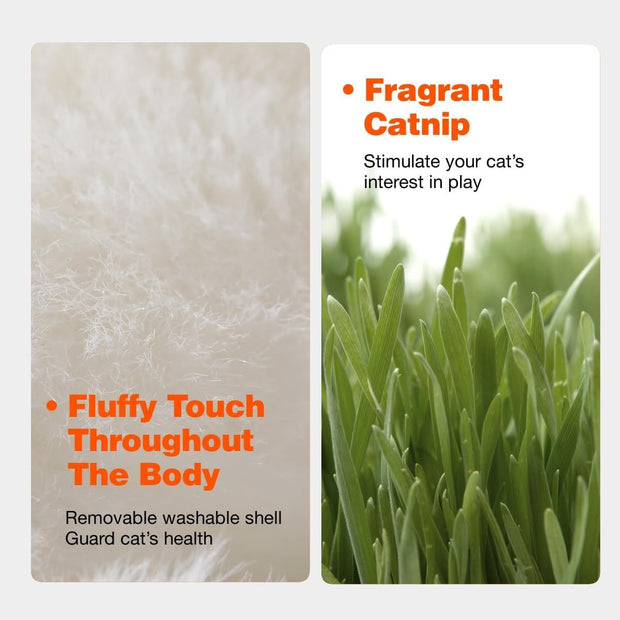 Interactive Cat Toy