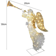 Acrylic Christmas Decorations and Garden Décor