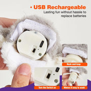 Interactive Cat Toy