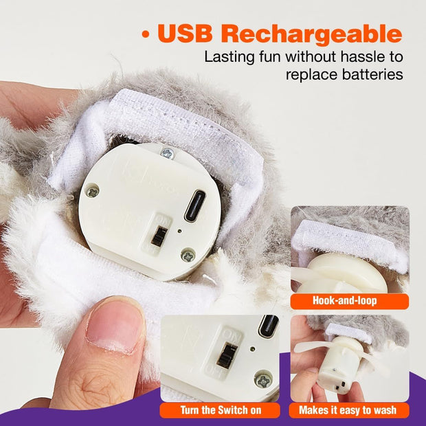 Interactive Cat Toy
